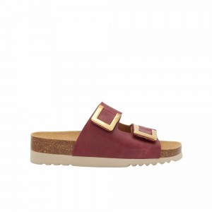 Scholl Bordeaux Monterey2 Straps Mules Damen Bordeaux | 54JBPLMSV