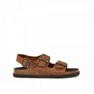 Scholl Cognac Gaston Sandalen Herren Braun | 16RCUPSTF