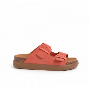 Scholl Coral Noelle Chunky Mules Damen Koralle | 39IWDYUEH