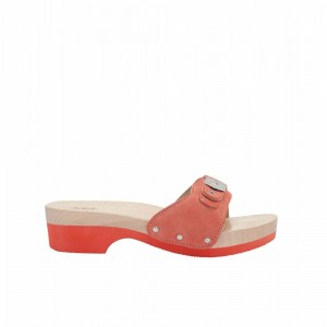 Scholl Coral Pescura Matt Hohe Schuhe Damen Koralle | 78PSWFZIC