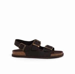 Scholl Dark Gaston Pantoletten Herren Dunkelbraun | 45MYRPSKD