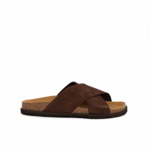 Scholl Dk Leon Pantoletten Herren Braun | 41ARUKNES