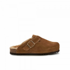Scholl Fae Clogs Damen Grau Braun | 20DQEYTSN