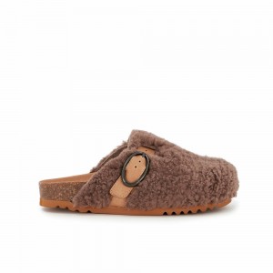 Scholl Fae Oval Clogs Damen Braun | 24AOMKECH