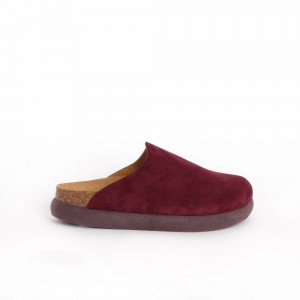Scholl Ivy Clogs Damen Lila Dunkelgrün | 09KHDONBR