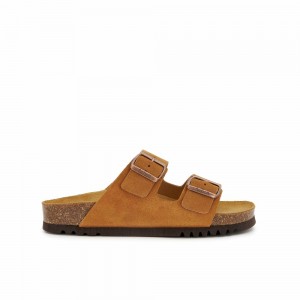 Scholl Josephine Mules Damen Braun | 98VXYIZOC