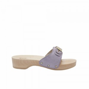 Scholl Lilac Pescura Hohe Schuhe Damen Lila | 91HIRCGPA