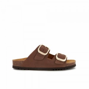 Scholl Noelle Mules Damen Hellbraun | 12VWGZJKO
