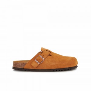 Scholl Olivier Pantoletten Herren Braun | 74XETGARP