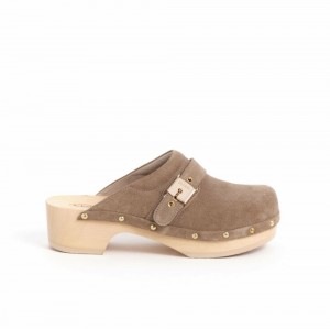 Scholl Pescura Clogs Damen Beige | 63QTNRVSK