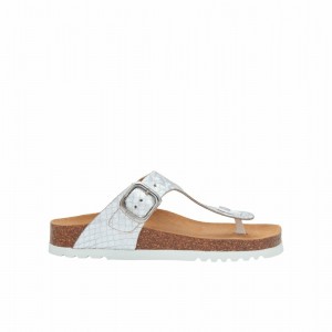Scholl Pescura Heel Anais Flip Flops Damen Silber | 84BJELPQH