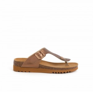 Scholl Pescura Heel Bronze Boa Vista Flip Flops Damen Braun | 39VUTGNRY