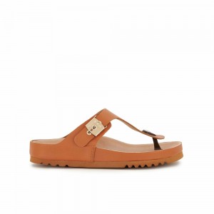 Scholl Pescura Heel Cognac Maya Flip Flops Damen Braun | 17OJTSQPF