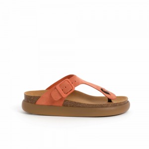Scholl Pescura Heel Coral Anais Chunky Flip Flops Damen Koralle | 96JLOQPSV