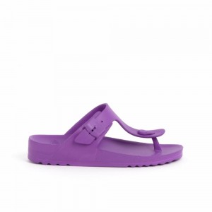 Scholl Pescura Heel Dk Bahia Flip Flops Hausschuhe Damen Lila | 74PZJQMFW