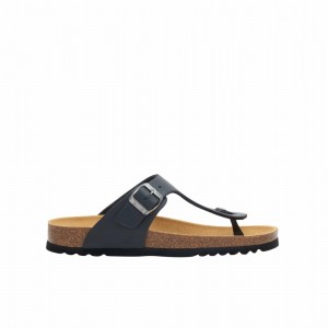 Scholl Pescura Heel Evis Flip Flops Damen Schwarz | 69OQIMXHZ