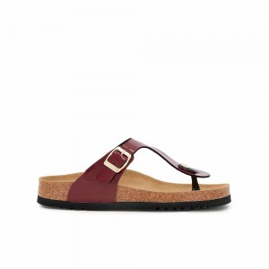 Scholl Pescura Heel Wine Nicole Flip Flops Damen Bordeaux | 79JZIQFML