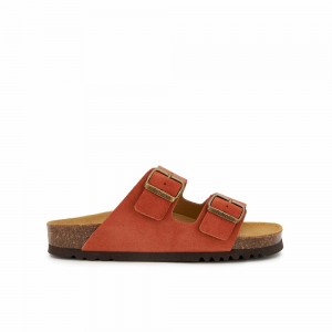 Scholl Rust Josephine Mules Damen Rot | 30PFHMQKJ