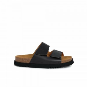 Scholl Sierra2 StrapsLea-w Mules Damen Schwarz | 74YWTIEXA