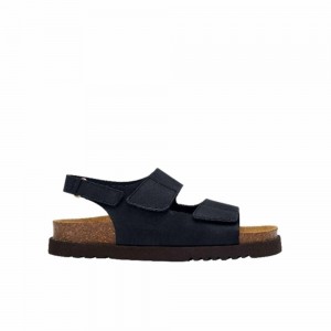 Scholl SierraLea-w Sandalen Damen Schwarz | 94DKCHYFS
