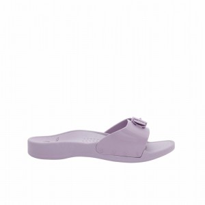 Scholl Sun Hausschuhe Damen Lila Orange | 26WQMEAZH